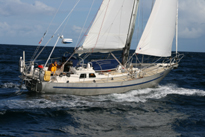 Taonui 2008
